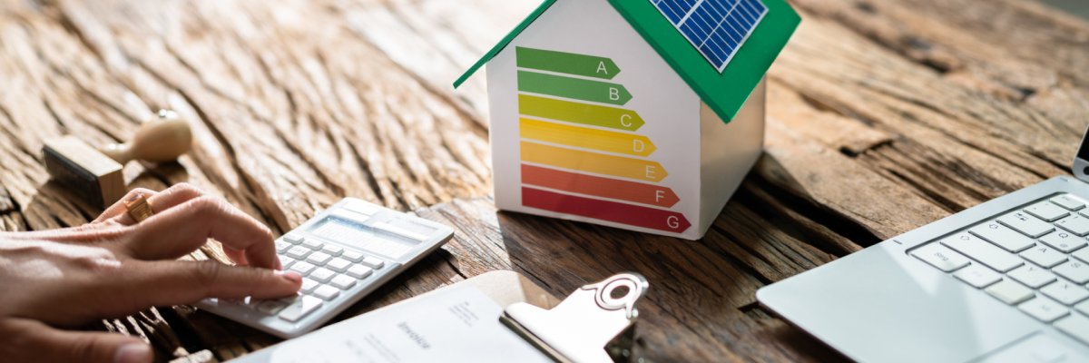 House Energy Audit. Efficient Consumption Invoice